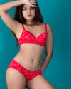 Queen Bra Collection