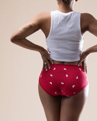 Rib Cotton Seasonal Briefs – 4 Pack